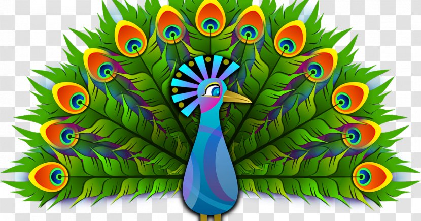 Peafowl Feather Blanket Bird Clip Art Transparent PNG