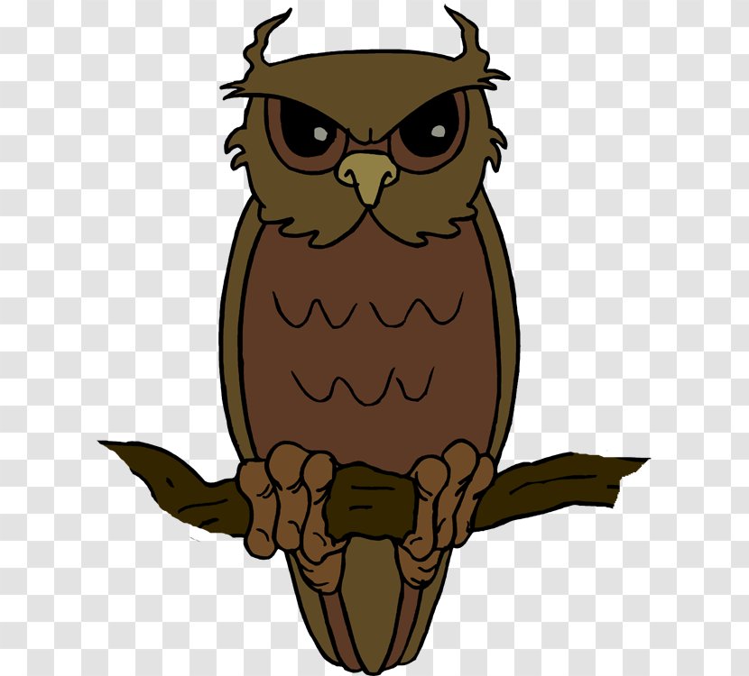 Owl Clip Art - Bird Of Prey Transparent PNG