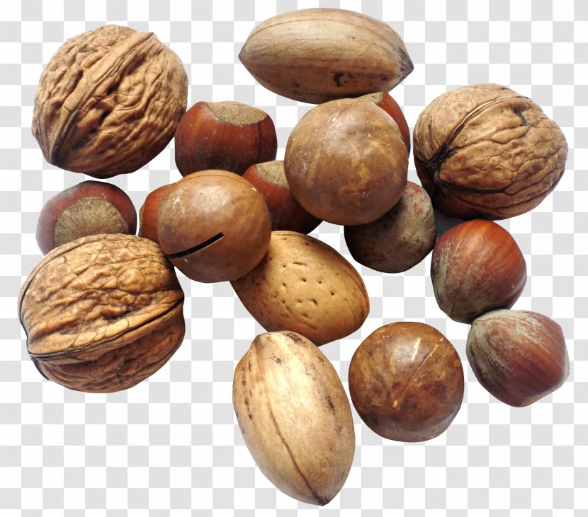 Walnut Dried Fruit Seed - Vegetable - Nut Transparent PNG