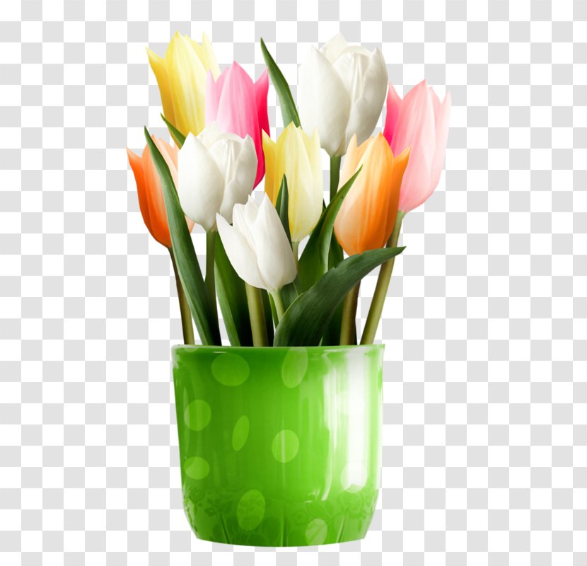 Flower Tulip Desktop Wallpaper Clip Art - Plant Transparent PNG