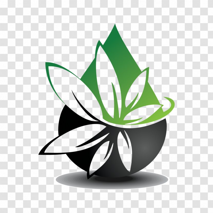 New Age Care Center Dispensary Cannabis Shop Medical - Weedmaps - Degaussing Transparent PNG