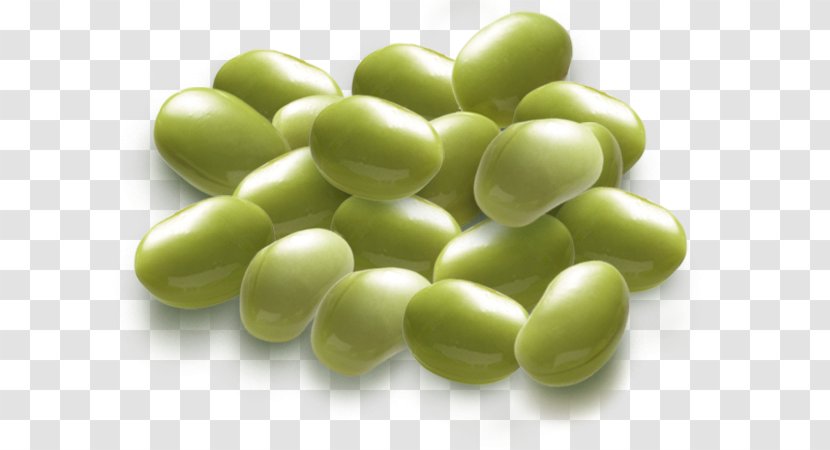 Edamame Broad Bean Vegetarian Cuisine Lima Himrod - Vegetable Transparent PNG