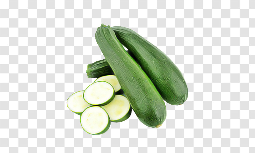 Vegetable Cucumber Food Cucumber, Gourd, And Melon Family Summer Squash Transparent PNG