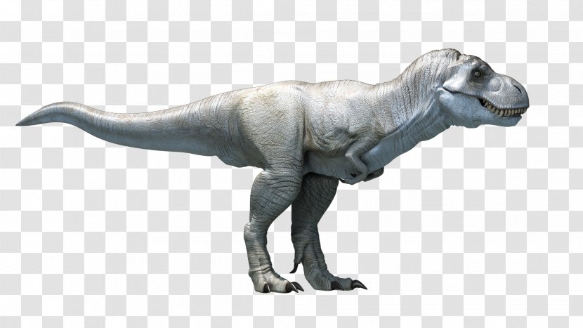 Tyrannosaurus Dinosaur Talarurus Velociraptor Ankylosaurus - Organism - T Rex Transparent PNG