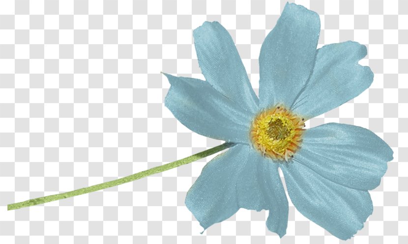 Blue Color Image Mavi - Originality - Flower Transparent PNG