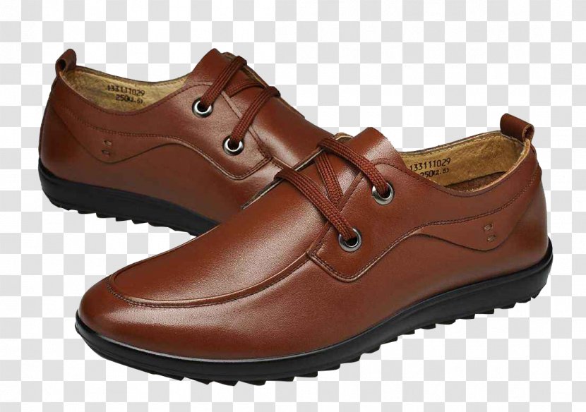 Oxford Shoe Brown Leather - Watercolor - Dark Band Pointed Shoes Transparent PNG