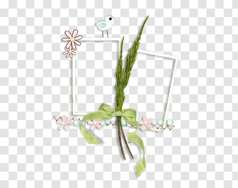 Image Picture Frames Computer File Drawing - Plant Stem - Aeronaves Ecommerce Transparent PNG