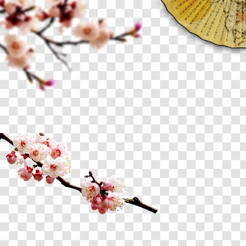 Flower Download Wallpaper - Cherry Blossom - Winter Decorative Elements Transparent PNG