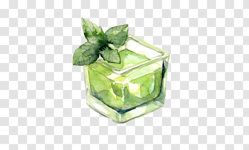 Water Mint Menthol Ice Cube Drink - Plant - Sailor Painting Material Picture Transparent PNG