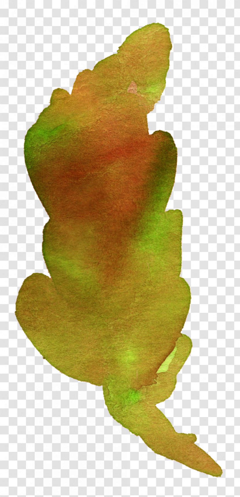 Tree Frog Leaf Autumn Plant Stem Watercolor Painting - Amphibian - Sen Department Of Flowers Transparent PNG