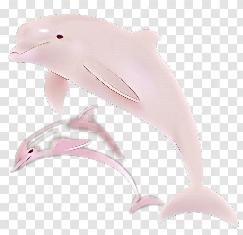 Dolphin Product Design Pink M - Fin - Marine Mammal Transparent PNG