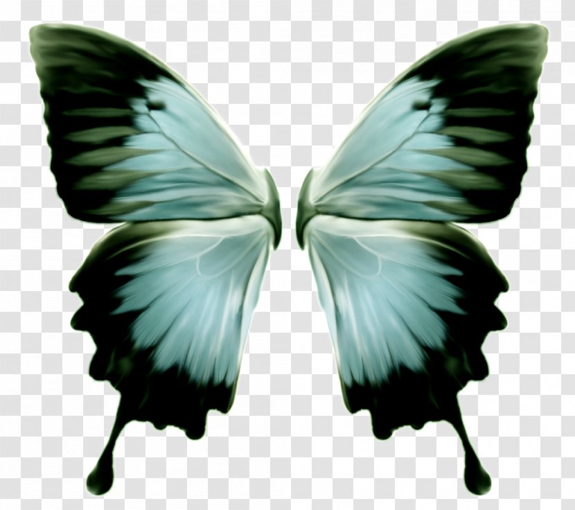 Ulysses Butterfly The Funky Fish Club Ultimate Old School Party Moth - Invertebrate Transparent PNG