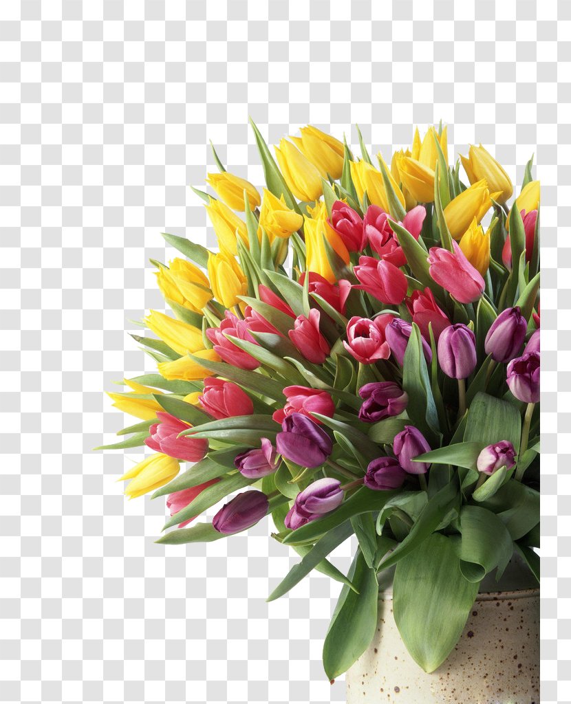 Flower Bouquet Tulip Wallpaper - Floristry - Heap Transparent PNG