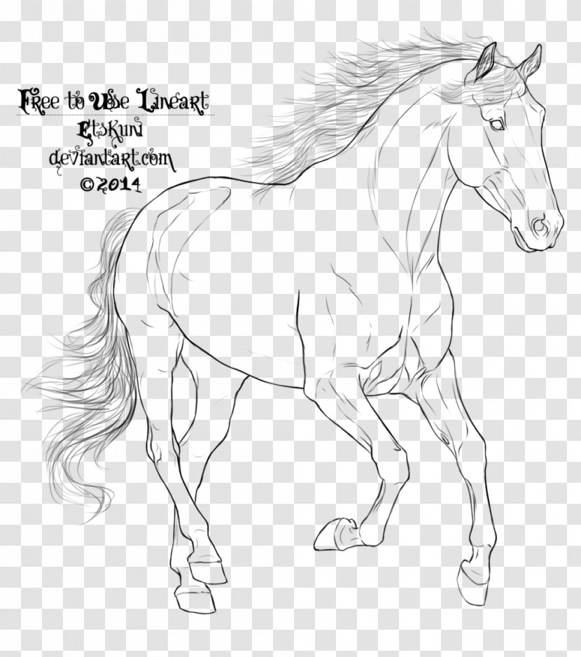 Mustang Pony Arabian Horse Andalusian Mane Transparent PNG