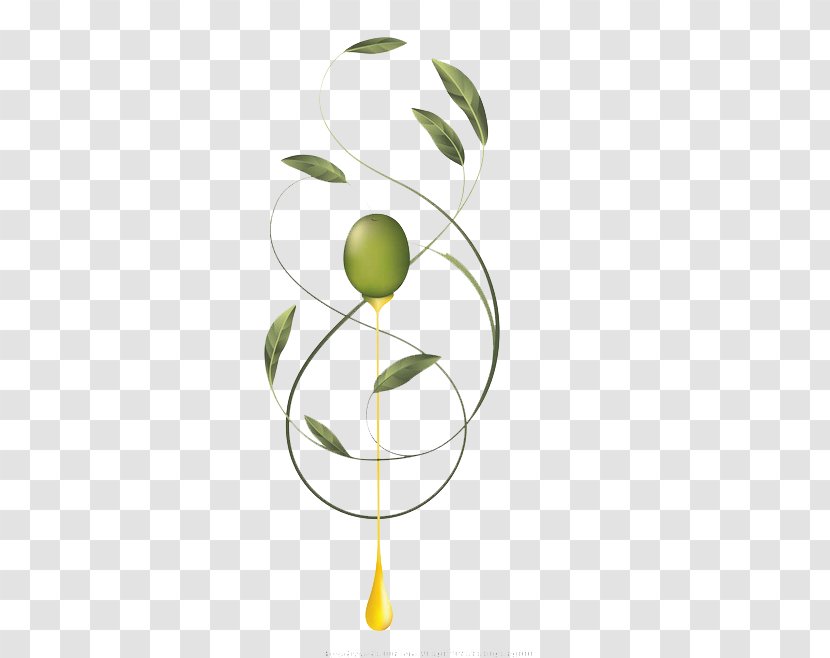 Olive Oil Label - Shutterstock Transparent PNG