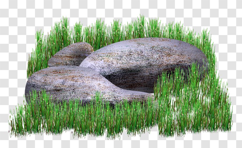 Grass Drawing Painting Transparent PNG