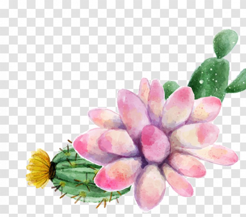 Watercolor Painting Succulent Plant - Artificial Flower - Cactus Transparent PNG