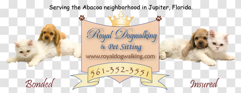 Dog Breed Puppy Cat English Cocker Spaniel - Paw - Walking Transparent PNG