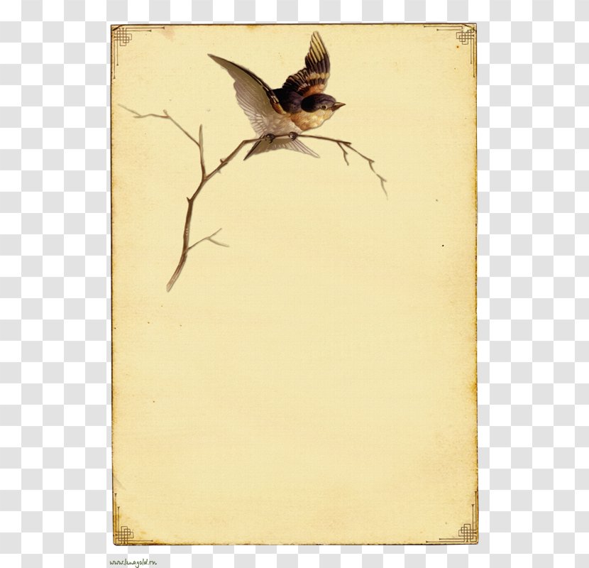 Paper Bird In The Tree Vintage Clothing - Branch Transparent PNG