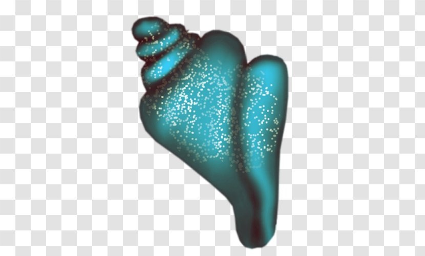 Conch - Turquoise - A Transparent PNG