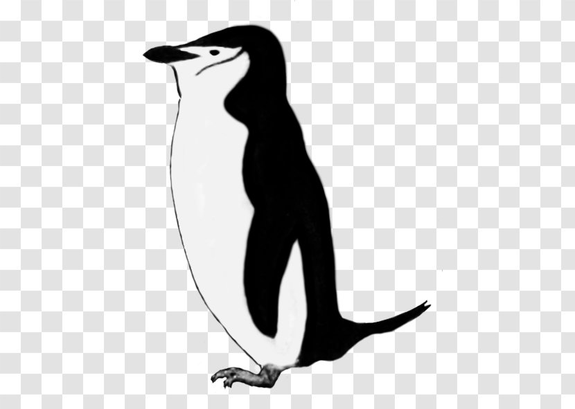 King Penguin Emperor Royal Clip Art - Drawing Transparent PNG
