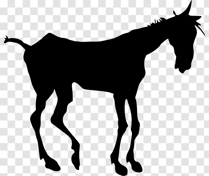 Mule Mustang Silhouette Foal Clip Art - Horse Tack Transparent PNG