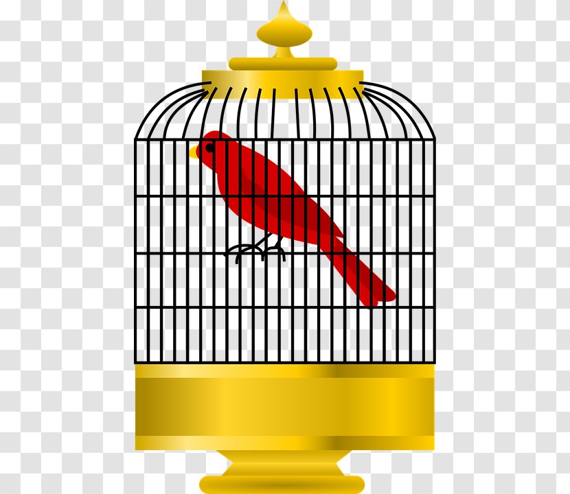 Cage Bird Parrot Cartoon Clip Art Transparent PNG