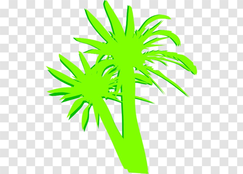 Clip Art Palm Trees Image - Organism - Two Palms Transparent PNG