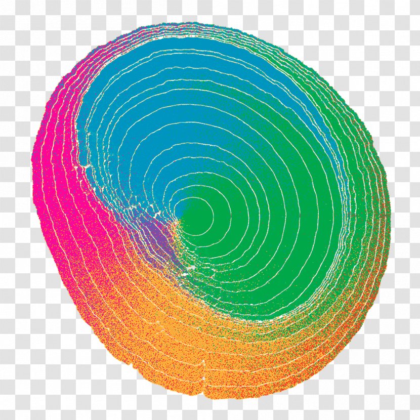 Circle Colorfulness Magenta Plate Transparent PNG
