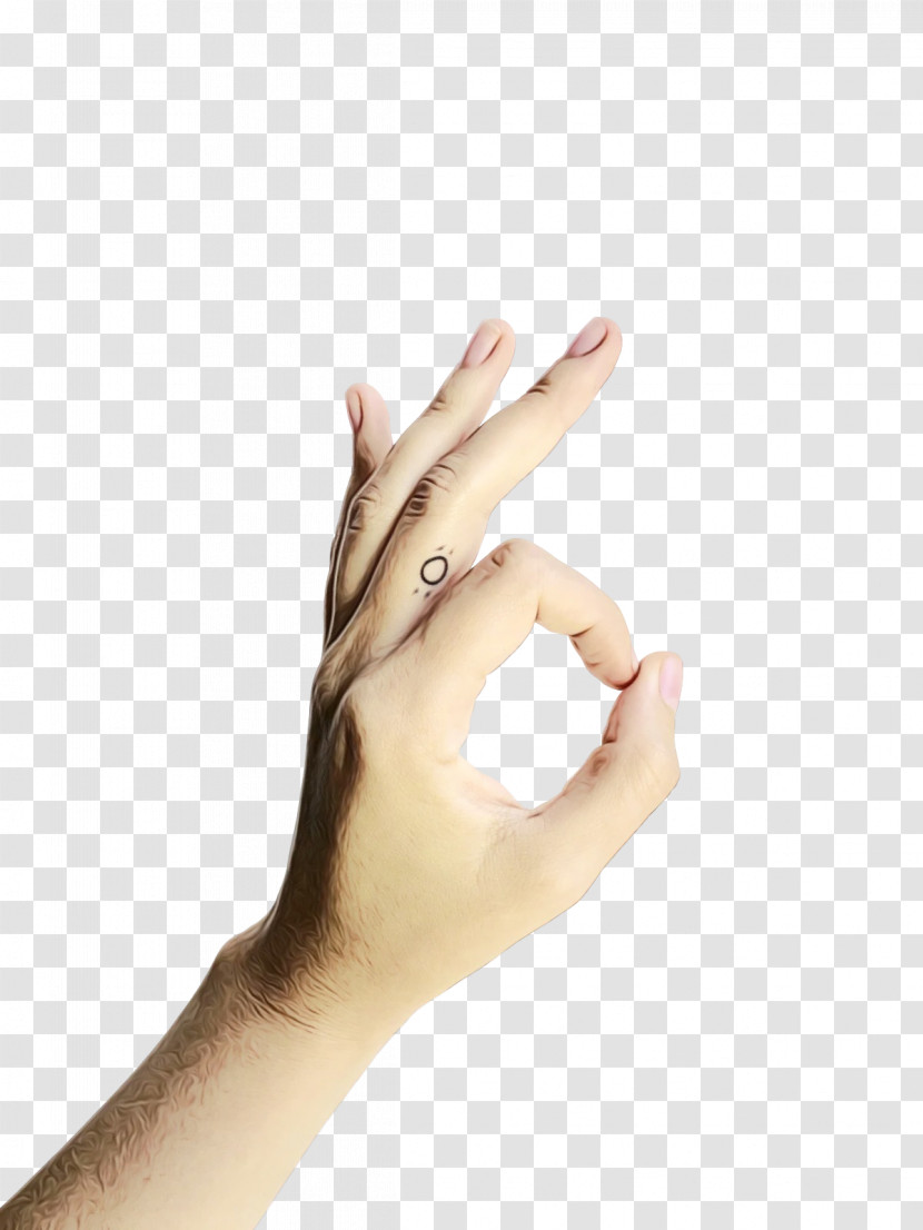 Hand Model Sign Language Language Hand Nail Transparent PNG