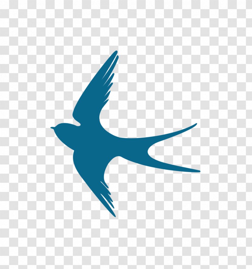 Bird Hirundininae Craft Beak Logo - Art Transparent PNG