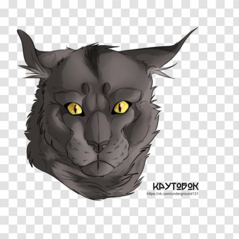 Whiskers Black Cat Snout - Legendary Creature Transparent PNG