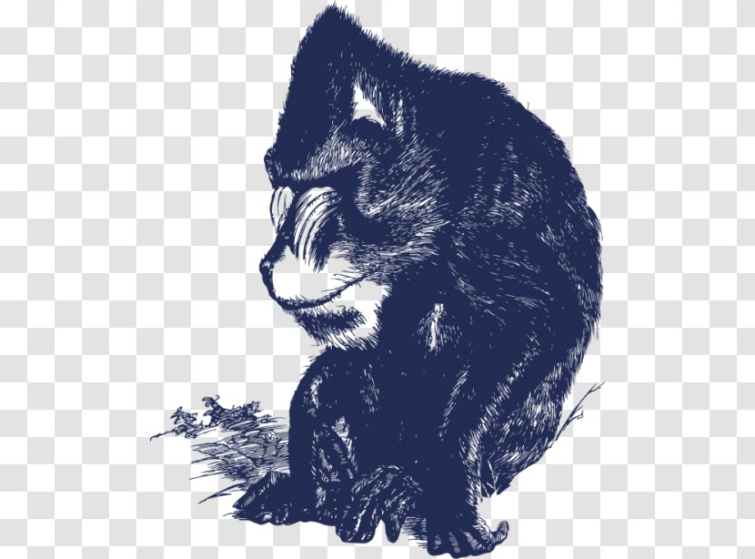 Black Cat Kitten Whiskers Raccoon - Mammal - Baboon Transparent PNG