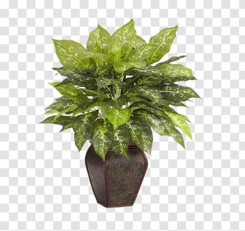 Flowerpot Artificial Flower Plant Leaf Dumb Canes Transparent PNG