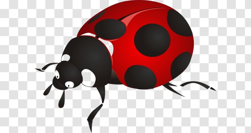 Ladybird Beetle Drawing Clip Art - Comics Transparent PNG