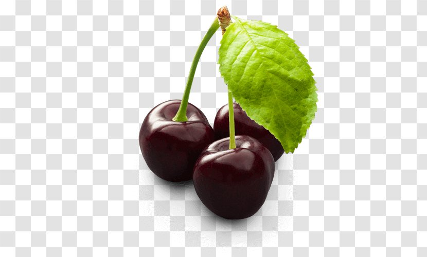 Bing Cherry Juice Pie Fruit - Prune Transparent PNG