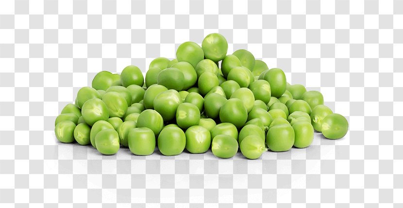 Pea Vegetarian Cuisine Bean Food Pisum Sativum - Vegetable - Garden Peas Transparent PNG