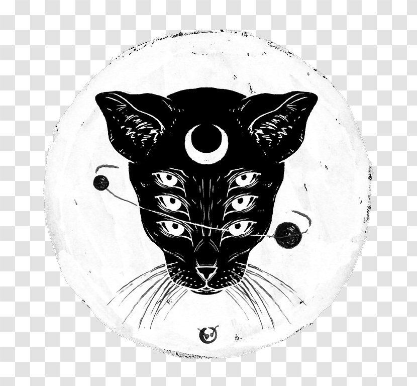 Black Cat Drawing - Witchcraft Transparent PNG