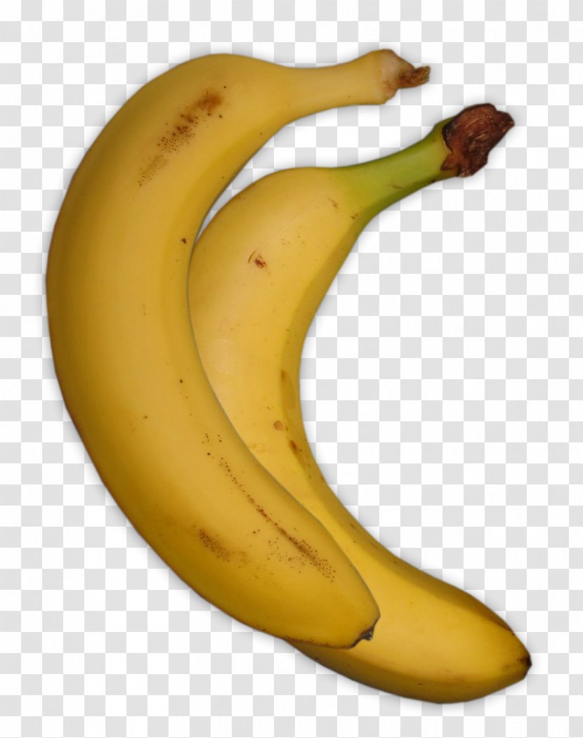 Cooking Banana - Plant Transparent PNG