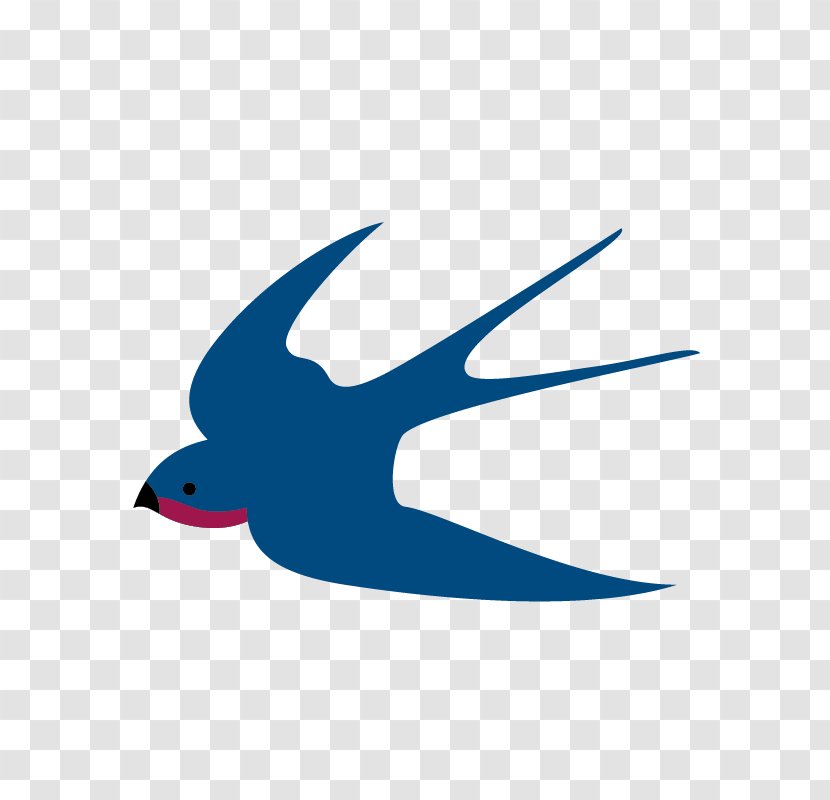 Swallow Design Image Bird - Flight Transparent PNG