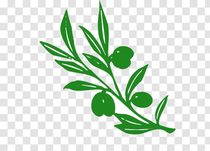 Olive Branch Clip Art - Pixabay - Cartoon Trees With Branches Transparent PNG