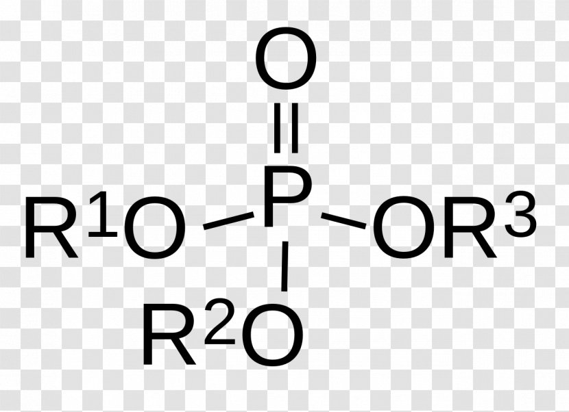 Organophosphate Phosphite Ester Phosphorus Phosphoric Acid - Cartoon - Formula Transparent PNG