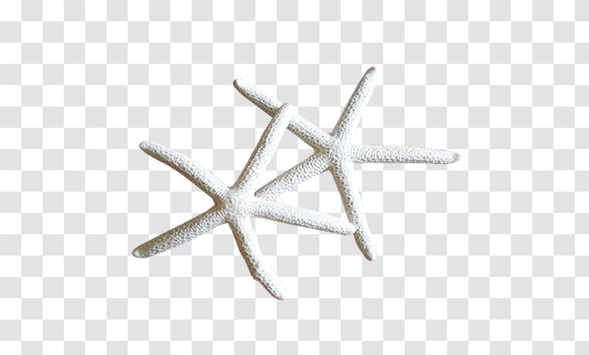 Starfish Euclidean Vector - Color - Pictures Transparent PNG