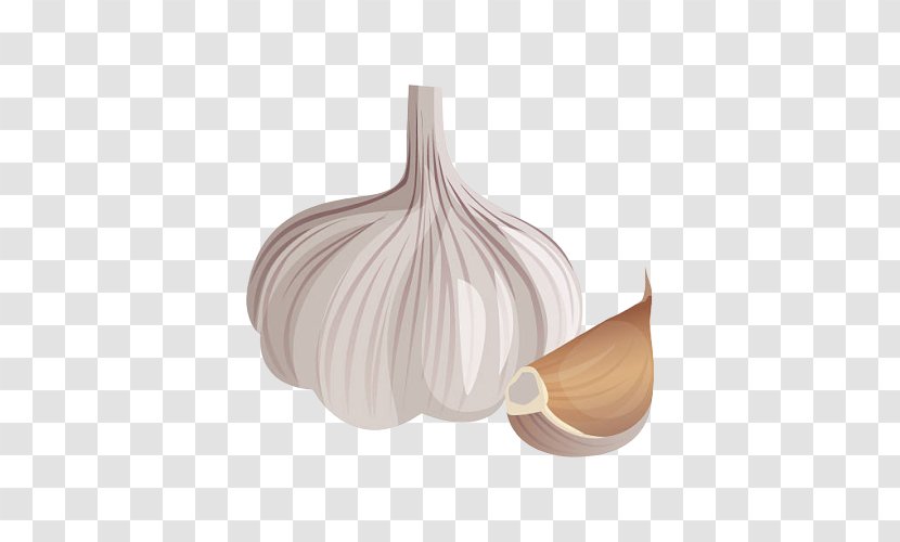Garlic Plant Allium Onion Vegetable - Food Transparent PNG