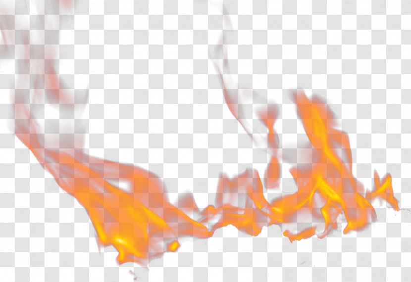 Flame Light Fire Gratis - White Transparent PNG