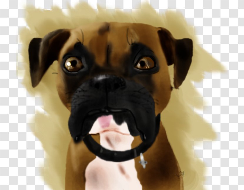 Puggle Boxer Puppy Dog Breed - Snout Transparent PNG