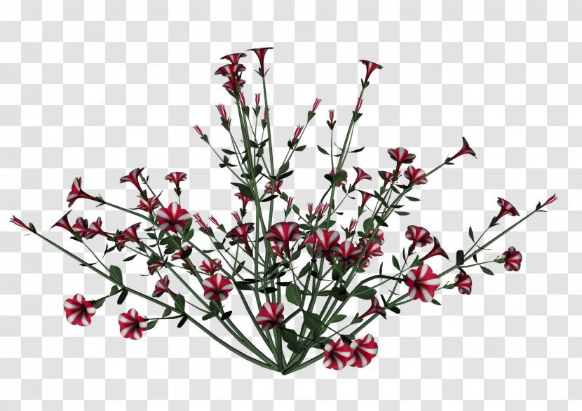 Clip Art Openclipart Petunia Desktop Wallpaper - Plant Stem - Branch Flower Transparent PNG