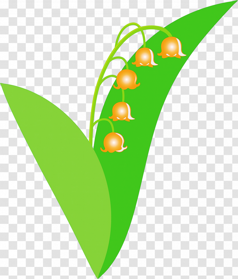 Lily Bell Flower Transparent PNG