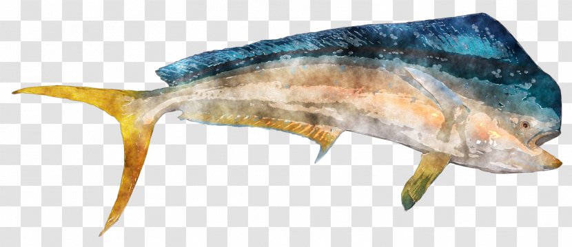 Daiwa Saltist Spinning Reel Saltiga Saltwater Sardine Fishing Reels - Deviantart - Fish Watercolor Transparent PNG
