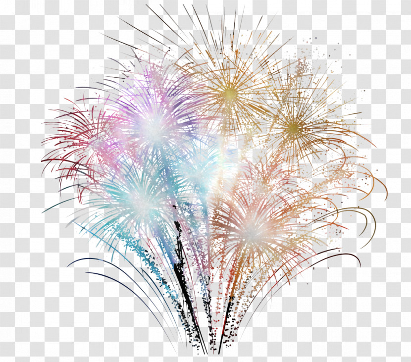 Fireworks Transparent PNG